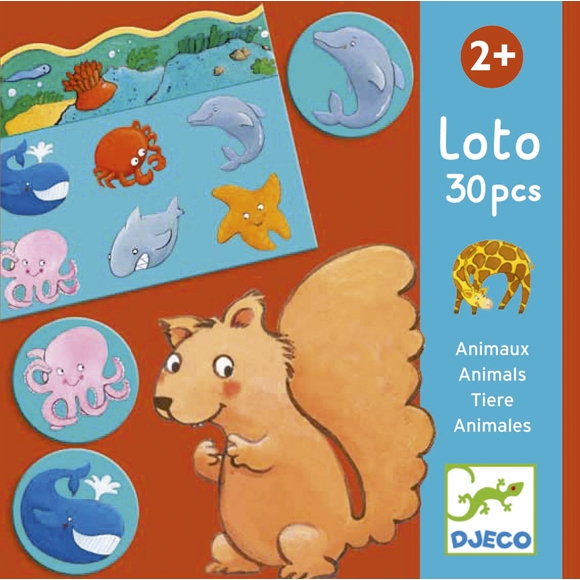 Képeslottó - Állatok élőhelye - Animals loto - 0