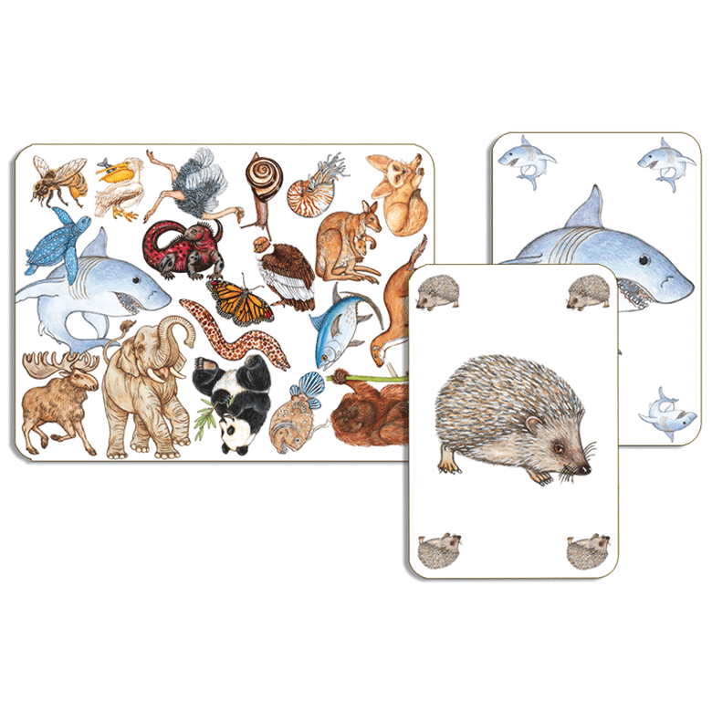 Kártyajáték - Állati kereső - Zanimatch  - 1