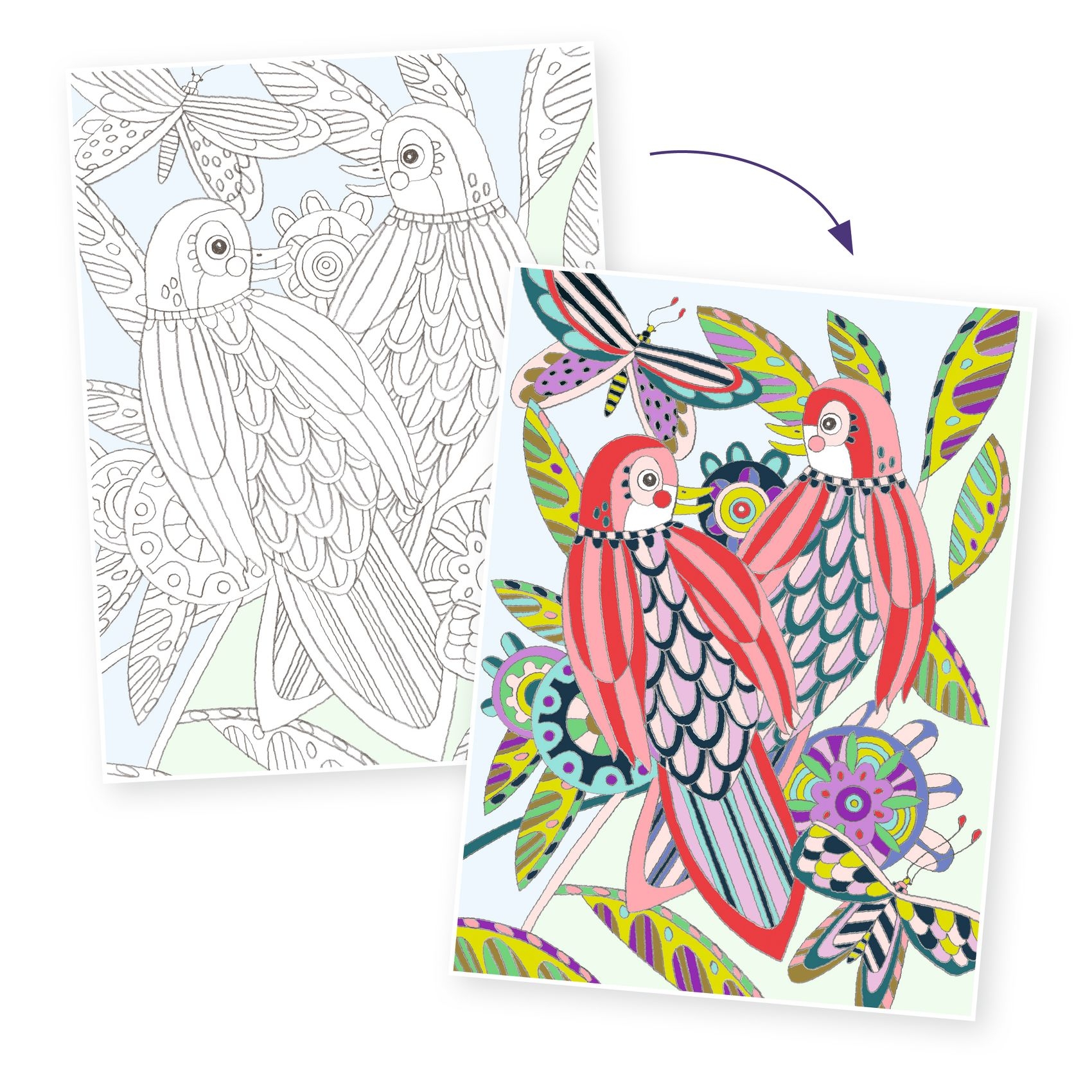 Művészeti műhely - Madaras színezők mappa - Birds - 1